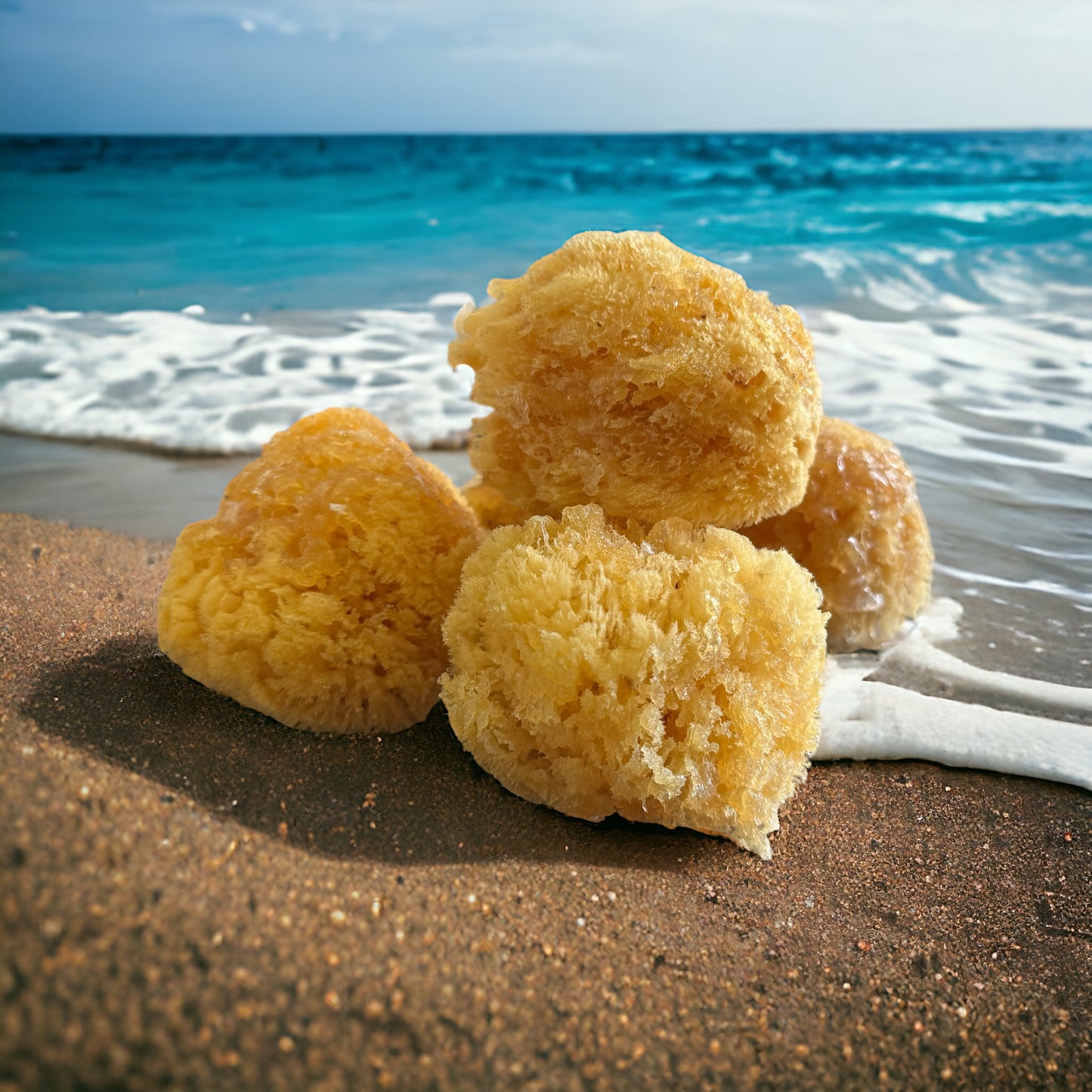 Soap Infused Sea Sponge