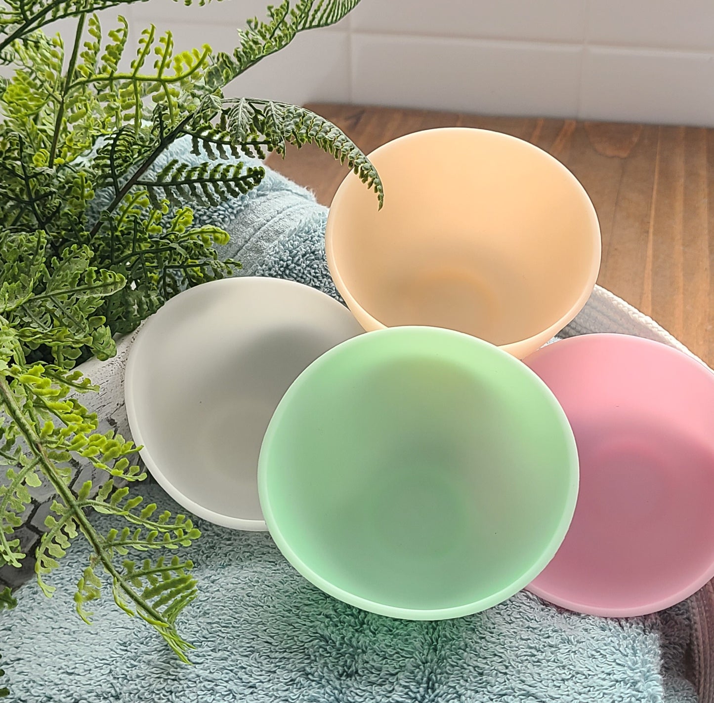 Silicone Bowl